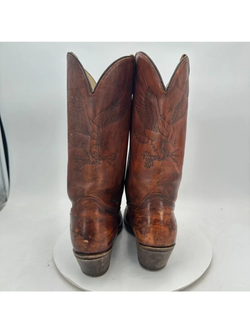 dingo size 12